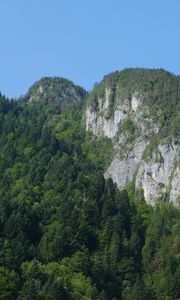 Preview wallpaper rocks, mountains, cliff, trees, landscape