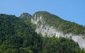 Preview wallpaper rocks, mountains, cliff, trees, landscape