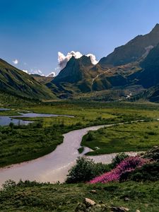 Preview wallpaper rocks, mountains, river, flowers, landscape