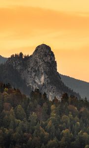 Preview wallpaper rocks, mountains, slope, trees, forest