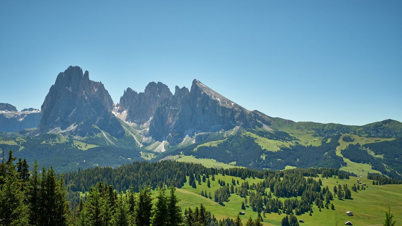 Wallpaper rocks, mountains, spruce, trees, sky