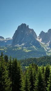 Preview wallpaper rocks, mountains, spruce, trees, sky