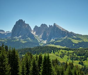 Preview wallpaper rocks, mountains, spruce, trees, sky