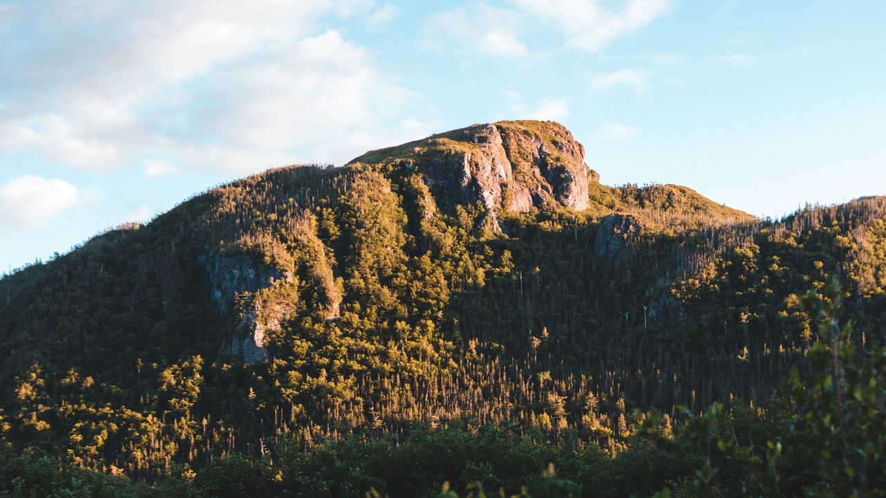 Wallpaper rocks, mountains, trees, bushes, sky