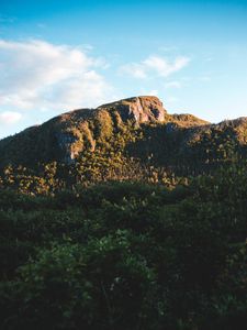 Preview wallpaper rocks, mountains, trees, bushes, sky