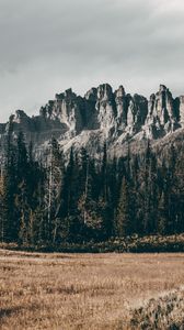 Preview wallpaper rocks, mountains, trees, grass, relief