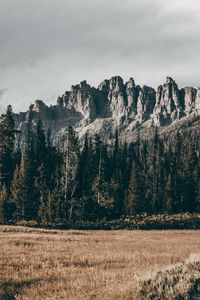 Preview wallpaper rocks, mountains, trees, grass, relief