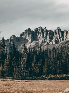 Preview wallpaper rocks, mountains, trees, grass, relief