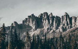 Preview wallpaper rocks, mountains, trees, grass, relief