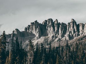 Preview wallpaper rocks, mountains, trees, grass, relief