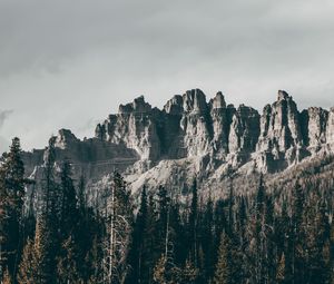 Preview wallpaper rocks, mountains, trees, grass, relief