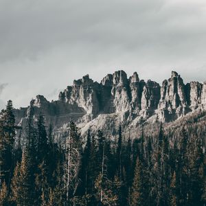 Preview wallpaper rocks, mountains, trees, grass, relief