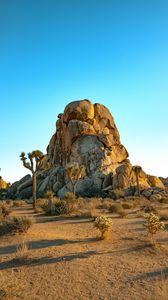 Preview wallpaper rocks, mountains, trees, prairie, sand