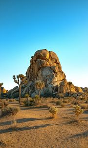 Preview wallpaper rocks, mountains, trees, prairie, sand