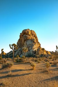 Preview wallpaper rocks, mountains, trees, prairie, sand