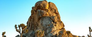 Preview wallpaper rocks, mountains, trees, prairie, sand