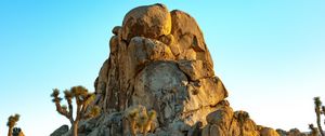 Preview wallpaper rocks, mountains, trees, prairie, sand