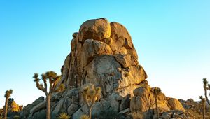 Preview wallpaper rocks, mountains, trees, prairie, sand