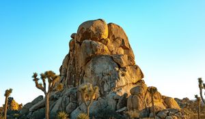 Preview wallpaper rocks, mountains, trees, prairie, sand