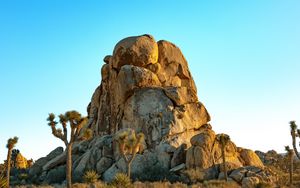 Preview wallpaper rocks, mountains, trees, prairie, sand