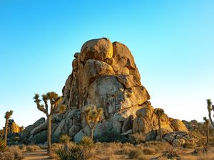 Preview wallpaper rocks, mountains, trees, prairie, sand