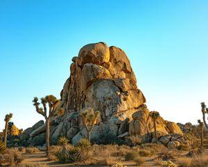 Preview wallpaper rocks, mountains, trees, prairie, sand