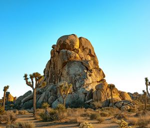 Preview wallpaper rocks, mountains, trees, prairie, sand