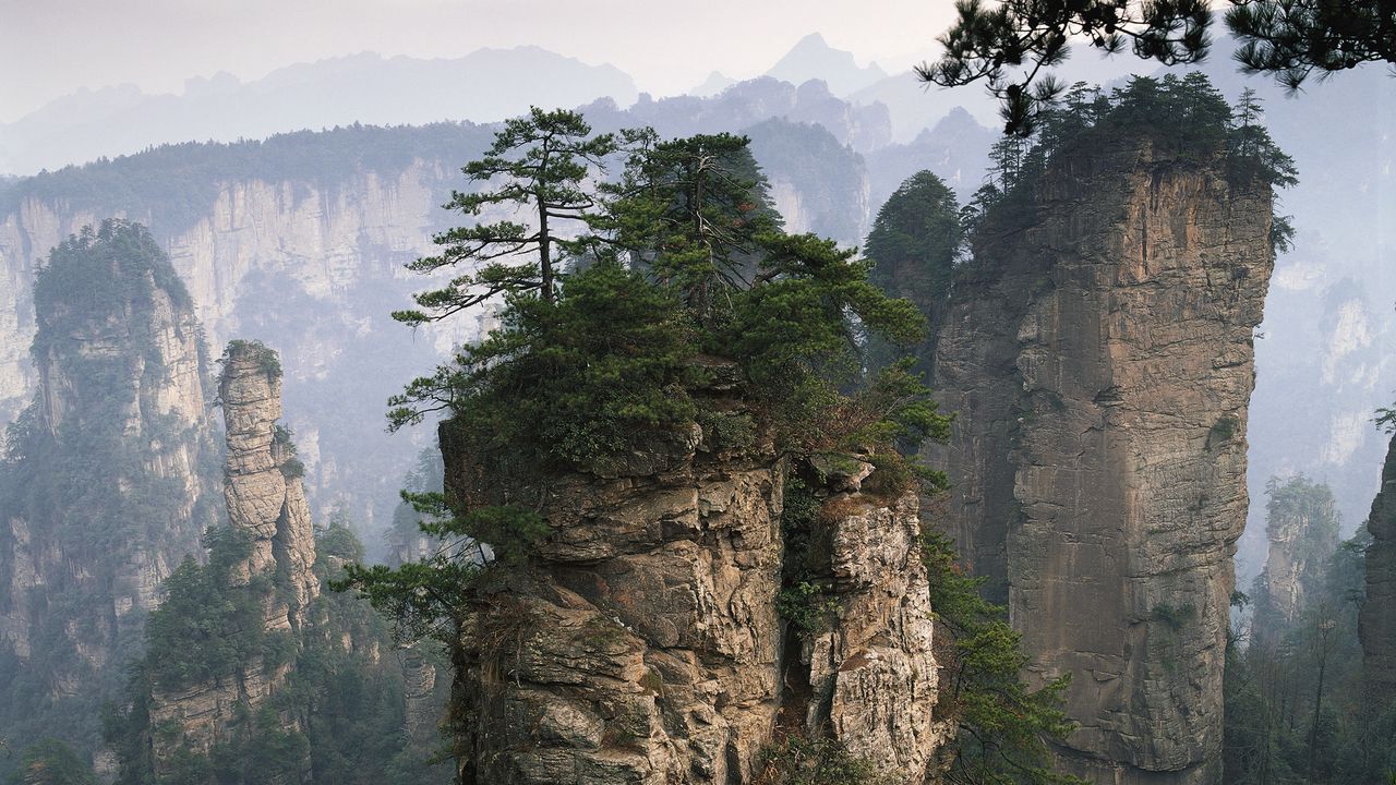 Wallpaper rocks, mountains, trees, tops, vegetation, fog, coniferous, height