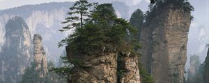 Preview wallpaper rocks, mountains, trees, tops, vegetation, fog, coniferous, height