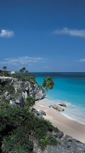 Preview wallpaper rocks, palm trees, structure, stone, architecture, break, blue water