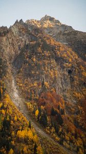 Preview wallpaper rocks, peak, trees, autumn