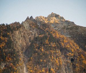 Preview wallpaper rocks, peak, trees, autumn