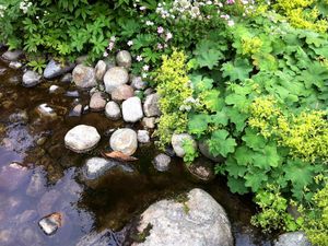 Preview wallpaper rocks, plants, water, nature