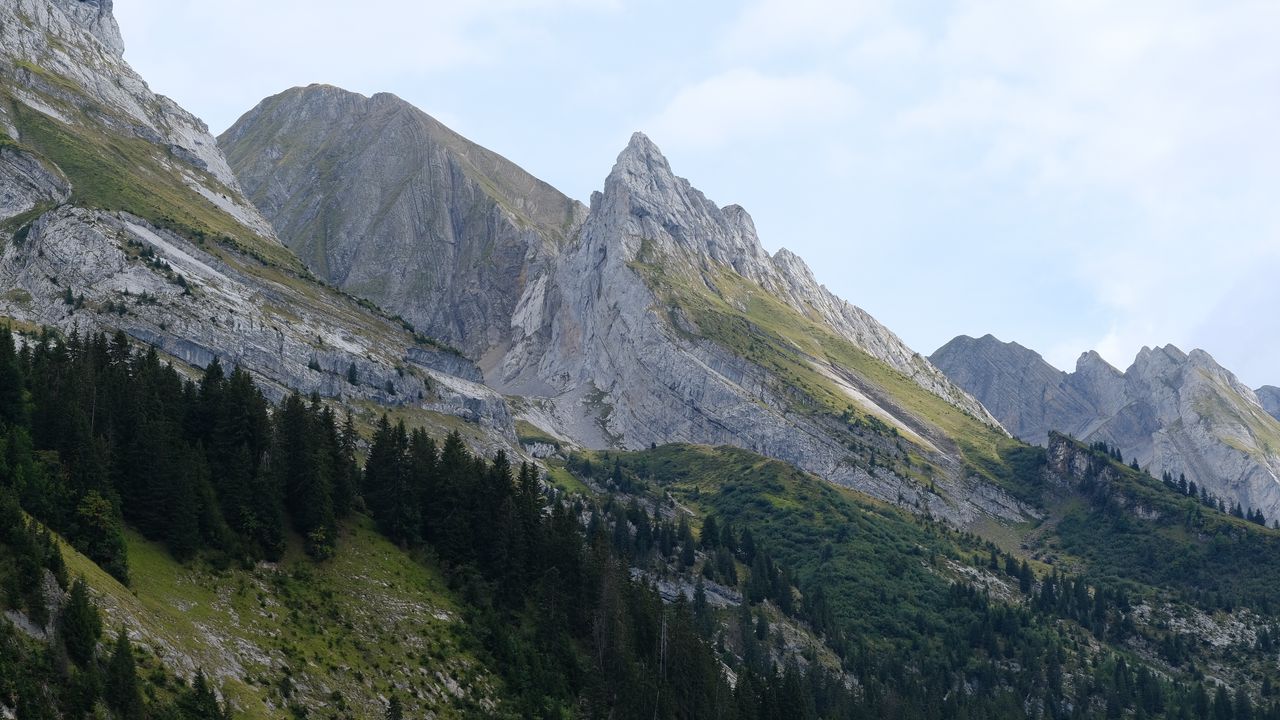 Wallpaper rocks, relief, slope, trees