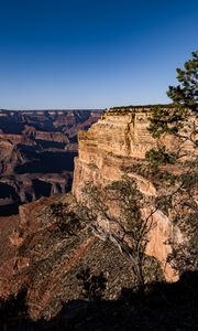 Preview wallpaper rocks, relief, trees, nature, canyon