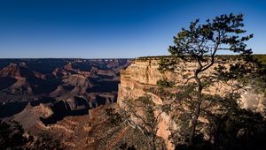 Preview wallpaper rocks, relief, trees, nature, canyon