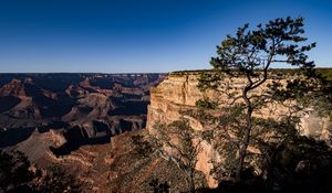 Preview wallpaper rocks, relief, trees, nature, canyon