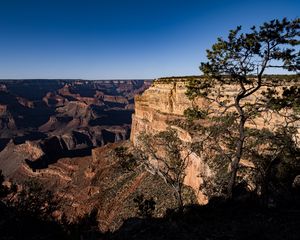 Preview wallpaper rocks, relief, trees, nature, canyon