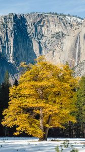Preview wallpaper rocks, relief, trees, landscape