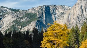 Preview wallpaper rocks, relief, trees, landscape