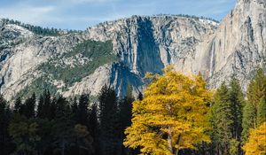 Preview wallpaper rocks, relief, trees, landscape