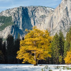 Preview wallpaper rocks, relief, trees, landscape
