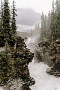 Preview wallpaper rocks, river, fog, trees, cliffs