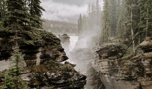 Preview wallpaper rocks, river, fog, trees, cliffs