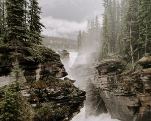 Preview wallpaper rocks, river, fog, trees, cliffs