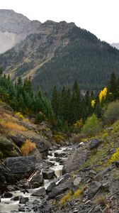 Preview wallpaper rocks, river, stones, slope, trees
