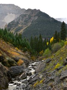 Preview wallpaper rocks, river, stones, slope, trees