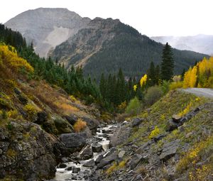 Preview wallpaper rocks, river, stones, slope, trees