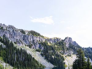 Preview wallpaper rocks, river, trees, spruce, sky