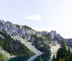 Preview wallpaper rocks, river, trees, spruce, sky